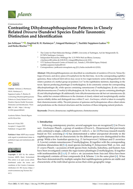 Contrasting Dihydronaphthoquinone Patterns in Closely Related Drosera (Sundew) Species Enable Taxonomic Distinction and Identiﬁcation