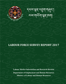 Labour Force Survey Report 2017