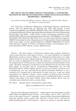 A Synonymic Revision of the Prunus-Infesting Aphid Genus Hyalopterus (Hemiptera: Aphididae)