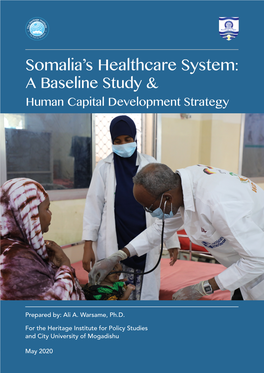 Somalia's Healthcare System