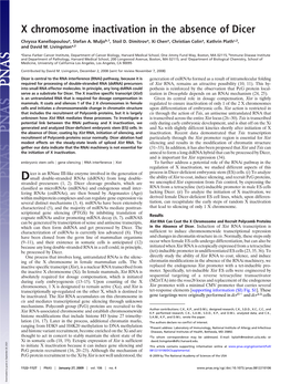 X Chromosome Inactivation in the Absence of Dicer