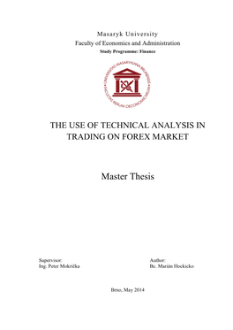 Master Thesis