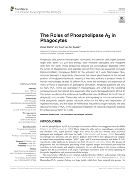 The Roles of Phospholipase A2 in Phagocytes