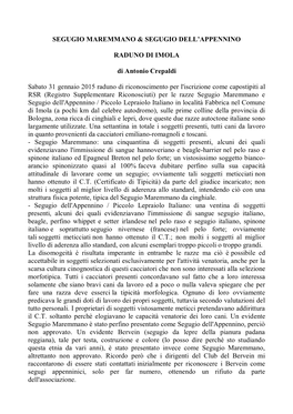 SEGUGIO MAREMMANO & SEGUGIO DELL'appennino RADUNO DI IMOLA Di Antonio Crepaldi Sabato 31 Gennaio 2015 Raduno Di Riconosci