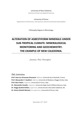 Alteration of Asbestiform Minerals Under Sub-Tropical Climate: Mineralogical Monitoring and Geochemistry