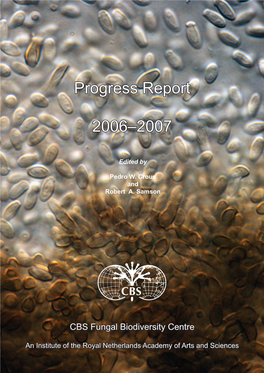 Progress Report 2006–2007