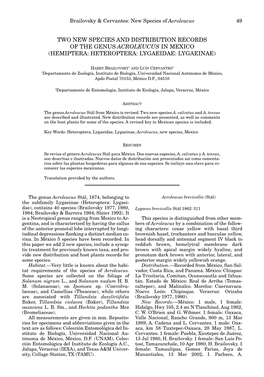 Two New Species and Distribution Records of the Genus Acroleucus in Mexico (Hemiptera: Heteroptera: Lygaeidae: Lygaeinae)