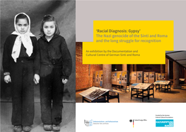 'Racial Diagnosis: Gypsy' the Nazi Genocide of the Sinti and Roma And