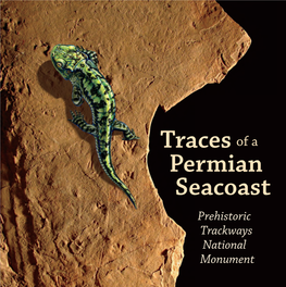 Tracesof a Permian Seacoast