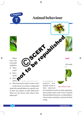 Animal Behaviour