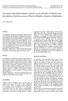 (DUMERIL & BIBRON) and the Identity of Typhlops Psittacus WERNER