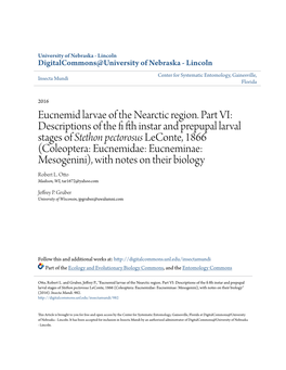 Eucnemid Larvae of the Nearctic Region. Part VI: Descriptions of the Fi Fth Instar and Prepupal Larval Stages Of