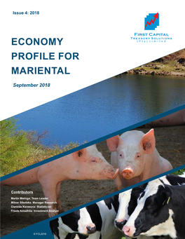 Economy Profile for Mariental