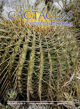 Cactaceas 2007 3 O.Pdf