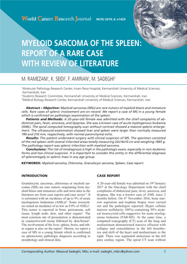 Myeloid Sarcoma of the Spleen: Report of a Rare Case with Review of Literature