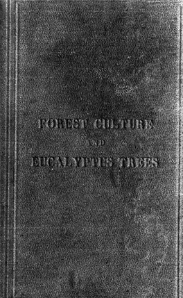 Forest Culture and Eucalyptus Trees