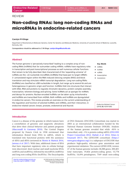 Long Non-Coding Rnas and Micrornas in Endocrine-Related Cancers
