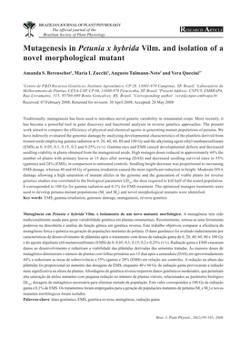 Mutagenesis in Petunia X Hybrida Vilm. and Isolation of a Novel Morphological Mutant