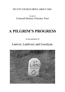 2009 a PILGRIM's PROGRESS Sample