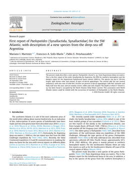 First Report of Paelopatides (Synallactida, Synallactidae) for the SW Atlantic, with Description of a New Species from the Deep-Sea Off Argentina