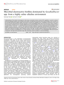 Microbial Electroactive Biofilms Dominated by Geoalkalibacter Spp