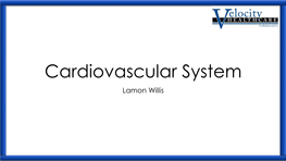 Cardiovascular System Lamon Willis the Heart the Heart the Heart • a Fist-Sized, Cone-Shaped Muscle (The Myocardium) That Beats, on Average, 80 Times Per Minute