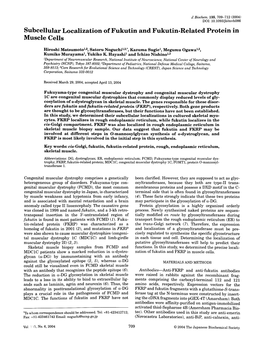 Subcellular Localization of Fukutin and Fukutin-Related Protein in Muscle Cells