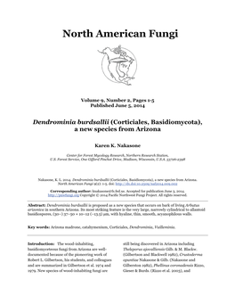 Dendrominia Burdsallii (Corticiales, Basidiomycota), a New Species from Arizona