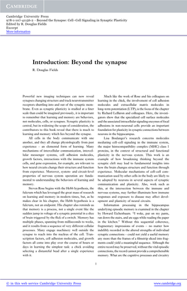 Introduction: Beyond the Synapse