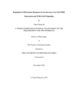 Regulation of Pheromone Response in Saccharomyces by Ste12-PRE