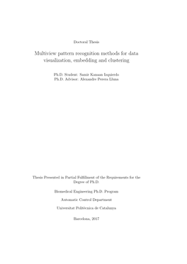 Multiview Pattern Recognition Methods for Data Visualization, Embedding and Clustering