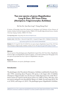 ﻿Two New Species of Genus Magadhaideus Long & Chen, 2017 from China (Hemiptera: Fulgoromorpha: Achilidae)