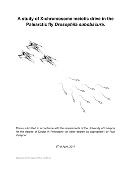 A Study of X-Chromosome Meiotic Drive in the Palearctic Fly Drosophila Subobscura