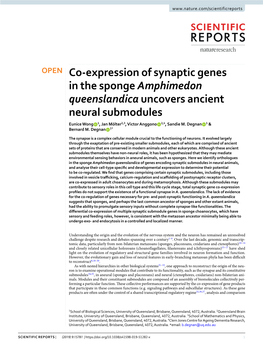 Co-Expression of Synaptic Genes in the Sponge Amphimedon Queenslandica Uncovers Ancient Neural Submodules Eunice Wong 1, Jan Mölter2,3, Victor Anggono 2,4, Sandie M