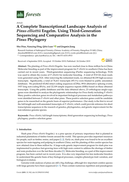 A Complete Transcriptional Landscape Analysis of Pinus Elliottii Engelm