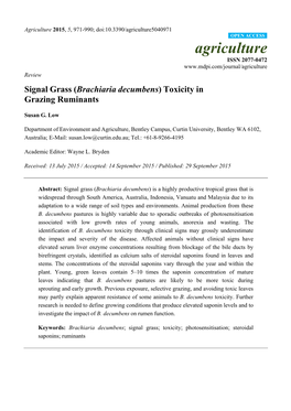 Signal Grass (Brachiaria Decumbens) Toxicity in Grazing Ruminants