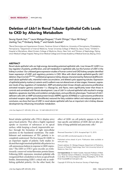 Deletion of Lkb1 in Renal Tubular Epithelial Cells Leads to CKD by Altering Metabolism