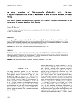 A New Species of Telmatobufo (Schmidt 1852)(Anura