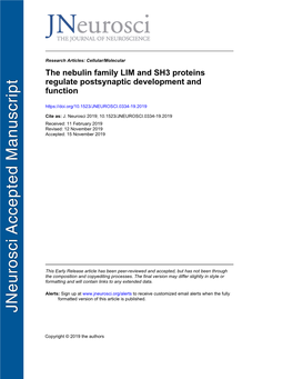 The Nebulin Family LIM and SH3 Proteins Regulate Postsynaptic Development and Function