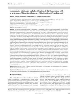 A Molecular Phylogeny and Classification of the Eleusininae with a New Genus, Micrachne (Poaceae: Chloridoideae: Cynodonteae)
