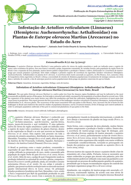 Infestação De Aetalion Reticulatum (Linnaeus) (Hemiptera