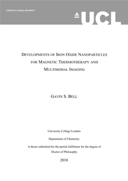 Developments of Iron Oxide Nanoparticles
