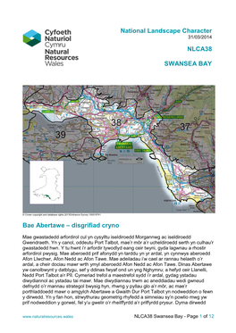 NLCA38 Swansea