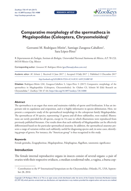 Comparative Morphology of the Spermatheca in Megalopodidae (Coleoptera, Chrysomeloidea)1