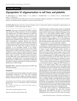 Glycoprotein VI Oligomerization in Cell Lines and Platelets