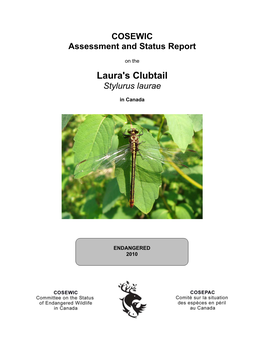 Laura's Clubtail (Stylurus Laurae) New to Canada