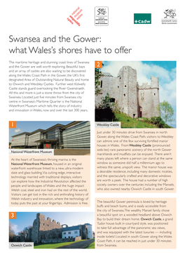 Swansea and the Gower: What Wales's Shores Have to Offer
