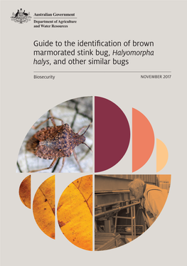 Guide to the Identification of Brown Marmorated Stink Bug, Halyomorpha Halys, and Other Similar Bugs
