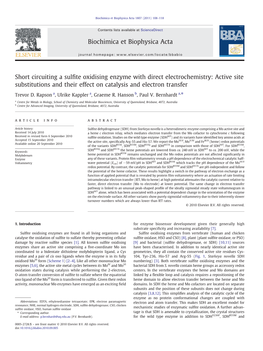 Short Circuiting a Sulfite Oxidising Enzyme with Direct Electrochemistry