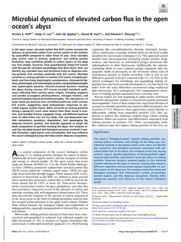 Microbial Dynamics of Elevated Carbon Flux in the Open Ocean's Abyss